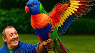 STUNNING Parrots You WON’T Believe Exist