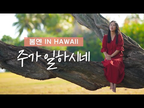 주가 일하시네 | 봄엔 in Hawaii