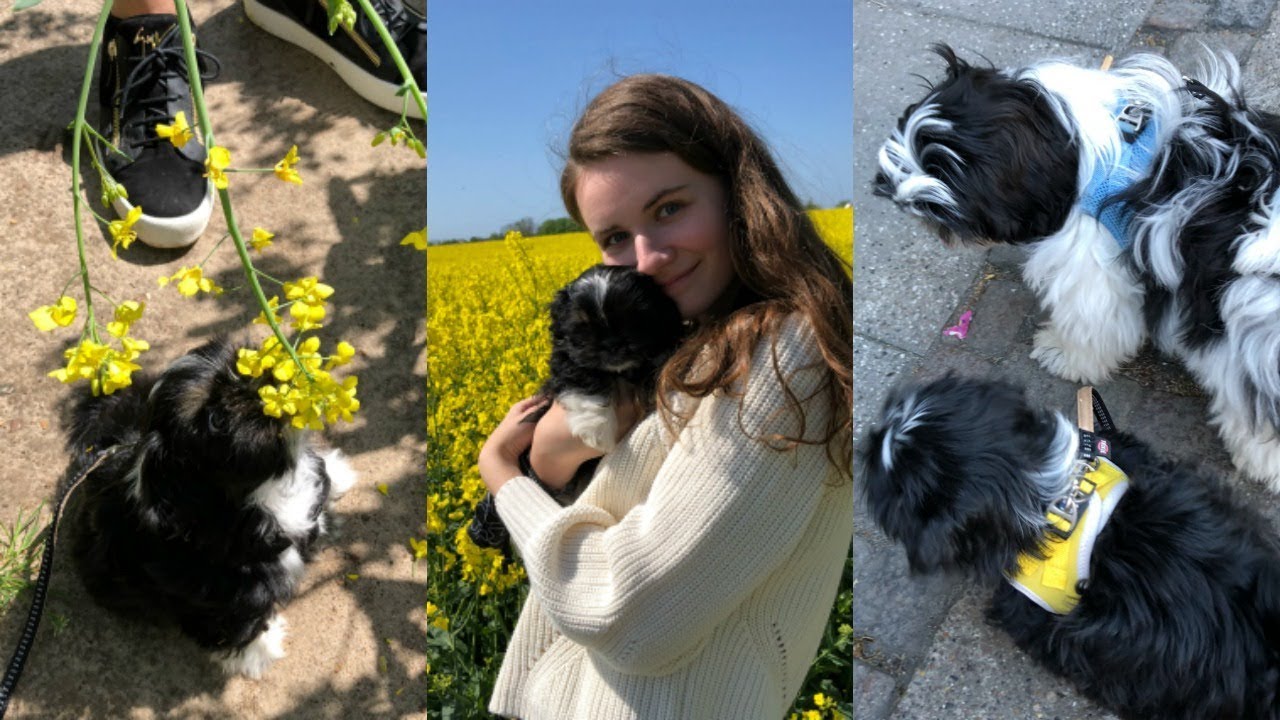 EN UGE MED ALBA OG JEG