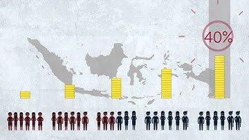 Perceptions of Indonesia