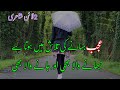 2line urdu shero shayari  best 2lines urdu hindi shayari aasi urdu poetry point best love poetry