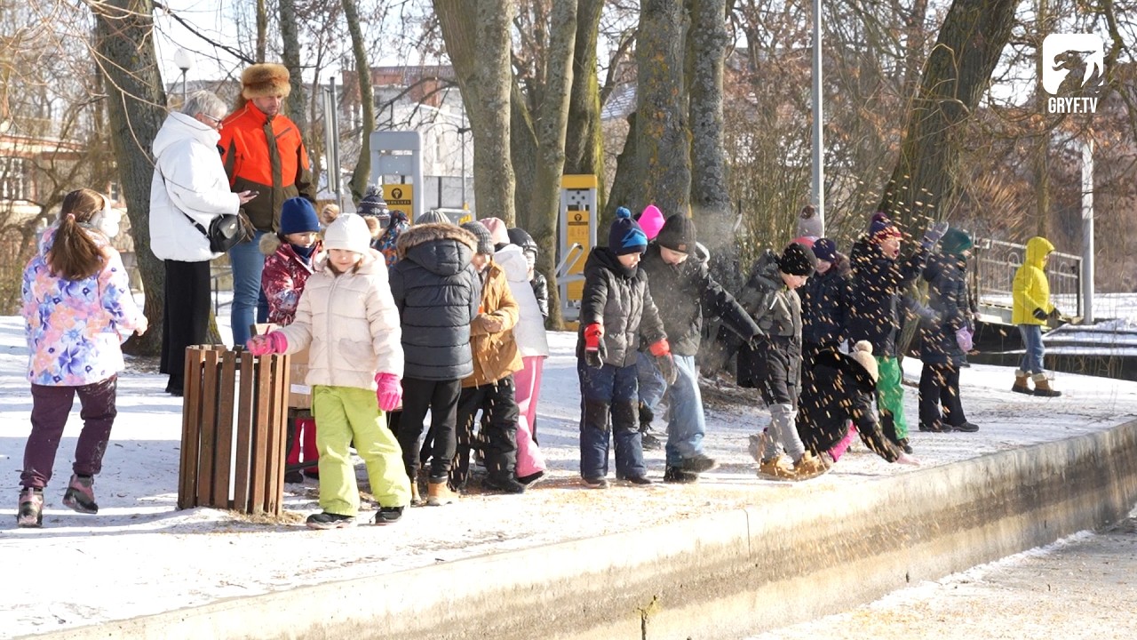 Dokarmianie zimujących ptaków - finał akcji Koła Łowieckiego Darzbór Szczecinek