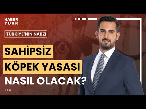 Başıboş köpekler sorununda neden orta yol bulunamıyor? | Türkiye'nin Nabzı - 23 Mayıs 2024