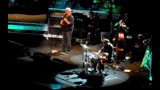 Pino Daniele. 'Na tazzulella 'e cafè. Ultimo tour dal vivo chords