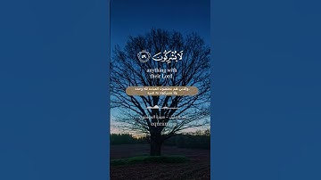 " إن الذين هم من خشية ربهم مشفقون " || سورة المؤمنون الآيات [ 56 : 61 ] ~ الشيخ خالد الجليل