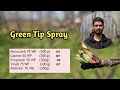Green tip spray  apple  2024  when to spray   what to spray  temperate farming