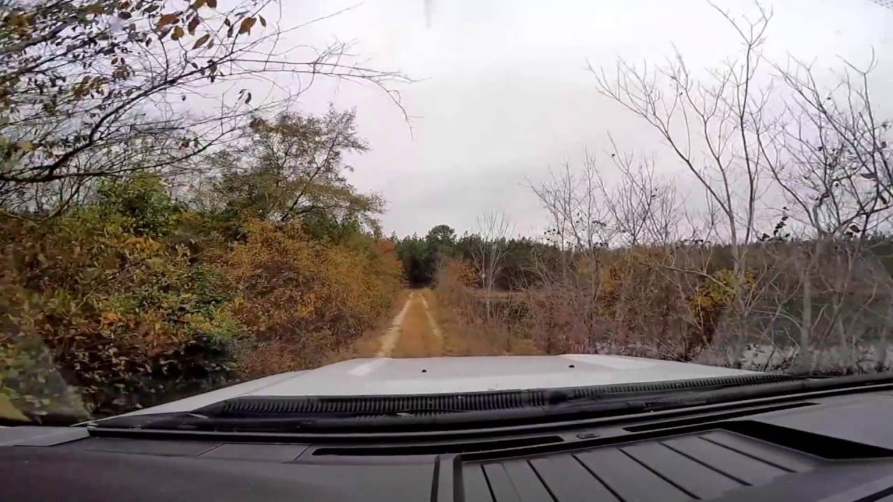 Deer Lease Footage 2105 in HD YouTube