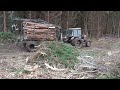 MTZ in forest (05.11.2022 )