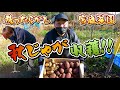 【家庭菜園】放ったらかし秋ジャガイモ収穫！