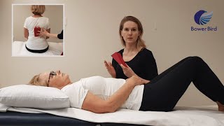 Neural Mobilisation and the Red Wedge