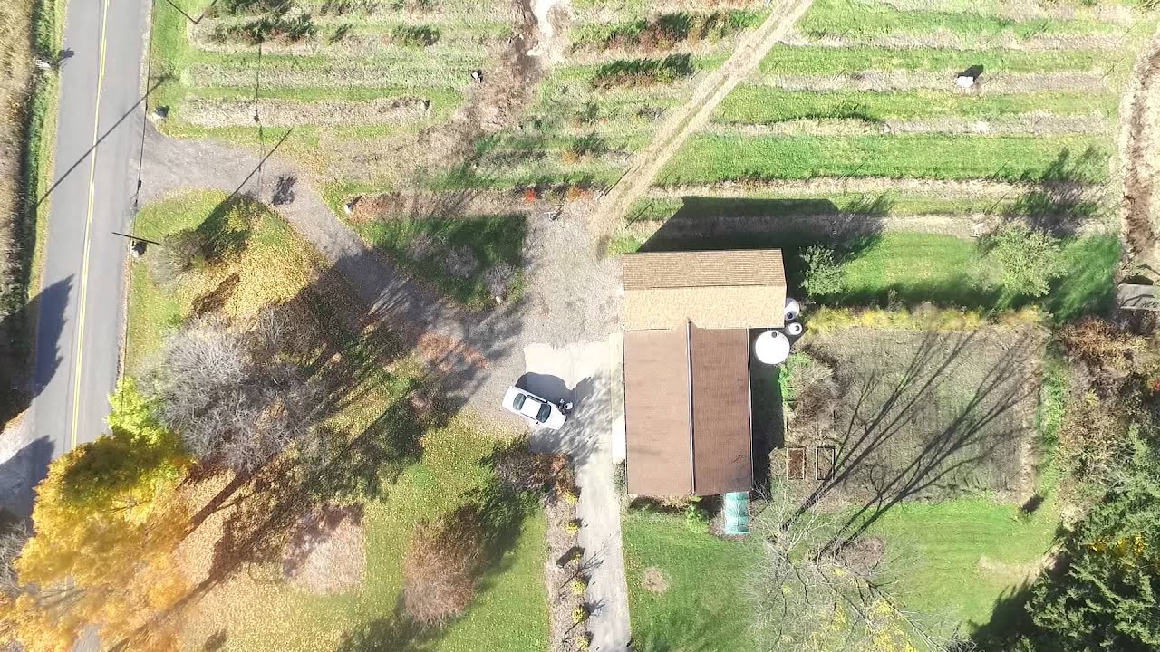 Copy of Hartford Blue Berry Farm YouTube