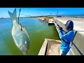 Tossing LIVE BAIT Fish Under Bridge For Speckled Trout!