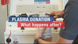 Plasma donation: what happens after?