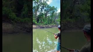 Проклюнула #shorts #fishing #ловитьрыбу #рыбалка #ловлякарпа #рыбалка2022