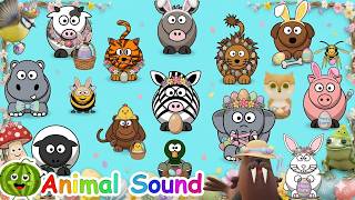 🦁🎶 The Animal Sounds Song! | 4K Ultra HD AU2J4 | Farm &amp; Jungle Animals | EduFam Kids TV ✨ 4