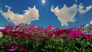 I Will Serve Thee Medley - Linda Simonis