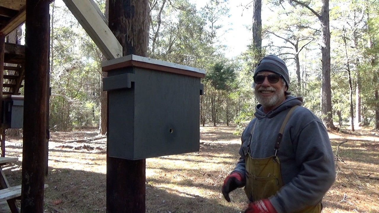 How to catch more swarms this year.