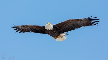 Тайна,Вавилон великий,мать блудницам и мерзостям земным.