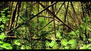Détour mortel - film complet VF