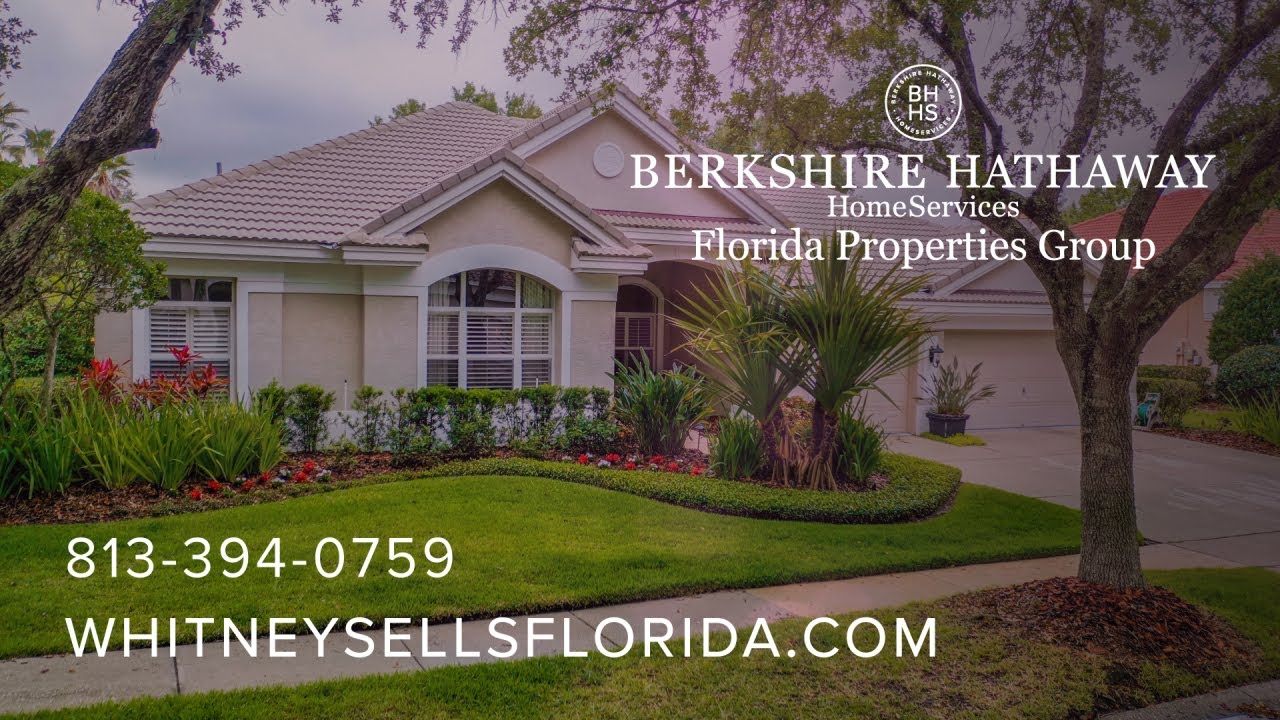 New Tampa Real Estate Homes For Sale New Tampa Real Estate YouTube