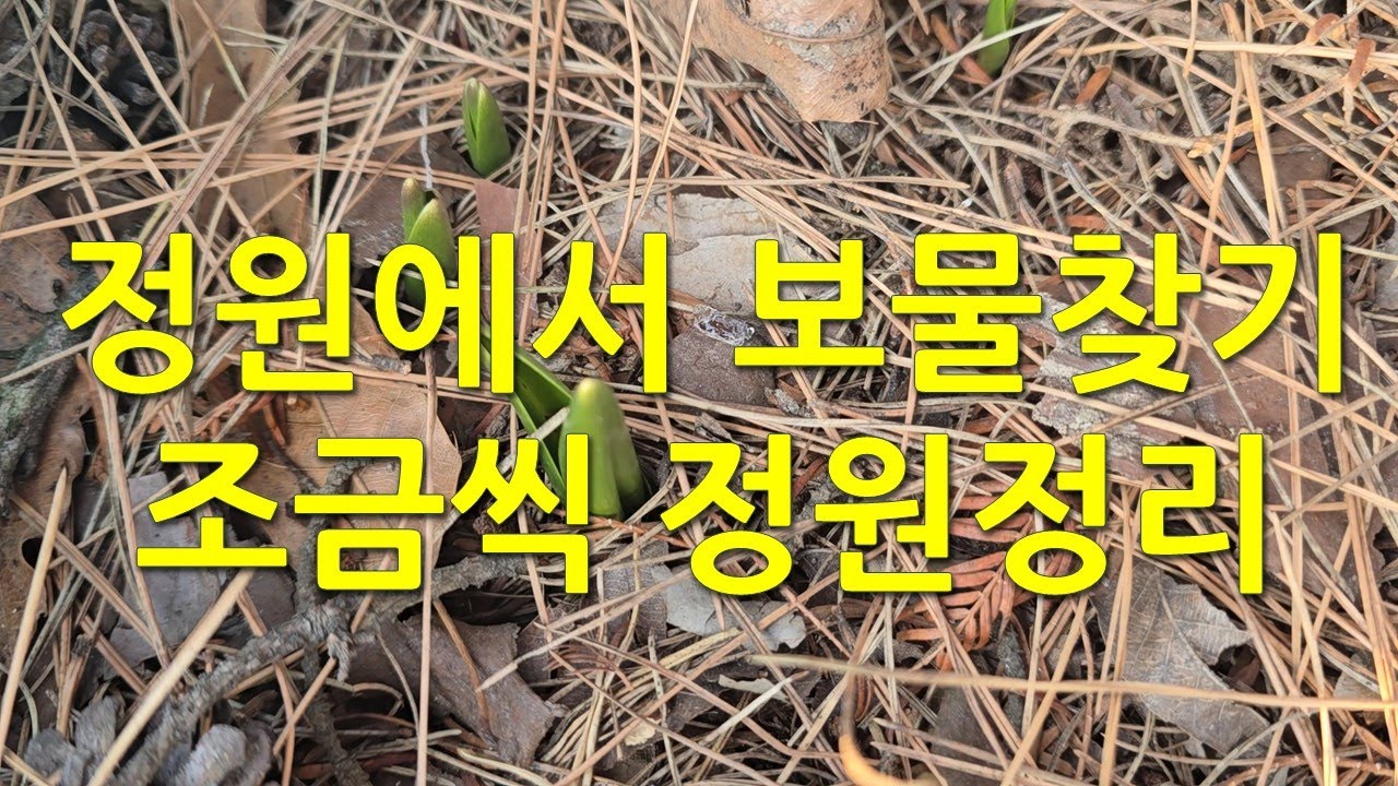 정원에서 보물찾기, 조금씩 정원정리. Treasure hunt in the garden, little by little garden tidying