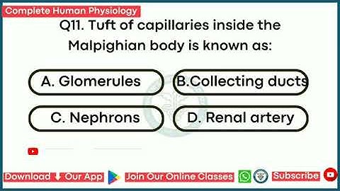 20 Most important MCQs About" Human physiology" | part 01|sir Naeemullah Mahar | EDS