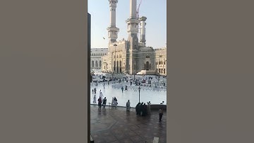 الشيخ أ.د ياسر الدوسري - سورة آل عمران