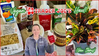 Trader Joe's Haul! | Vegan & Prices Shown! | November 2023