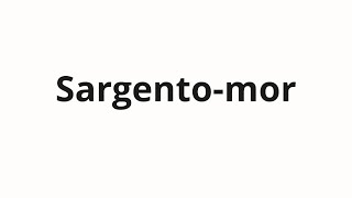How to pronounce Sargento-mor