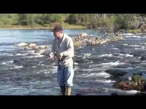 Gibbons Pond Trip  The Avalon Wilderness Reserve Newfoundland.