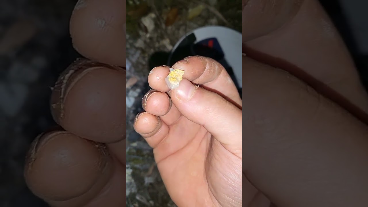 Gpx 6000 - Rippa Specie !