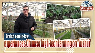 Exclusive | British son-in-law experiences Chinese high-tech farming on Yushui