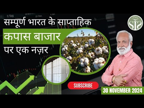 ऐसा रहा इस सप्ताह कपास का बाज़ार || Aaj ka kapas ka bajar || Weekly cotton market rate today #kapas