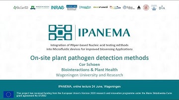 On-site plant pathogen detection methods