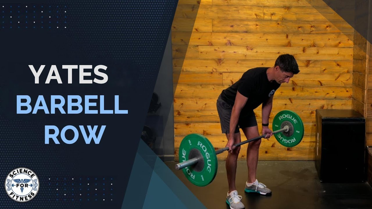 Yates Barbell Row YouTube