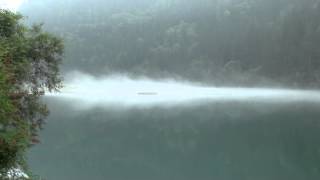 20120817箭竹海6