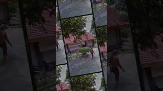 Stasiun Wilangan shorts