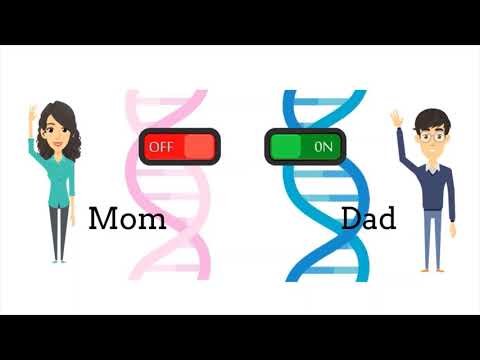 Videó: Különbség Az Egyparentális Diszómia és A Genomi Imprinting Között