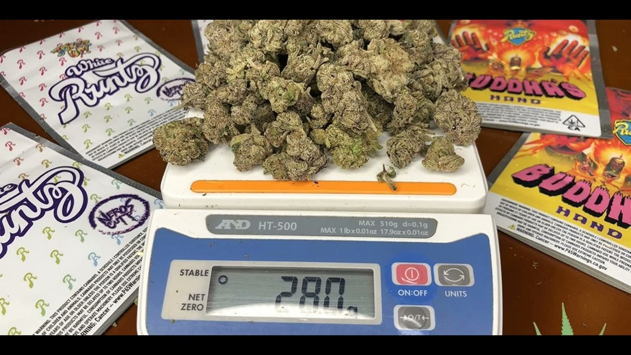 28 GRAMS ( FREE ) TYPE BEAT