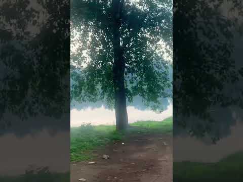 ഞങ്ങളുടെ പെരിയാർ എന്തൊരു സുന്ദരി🥰
