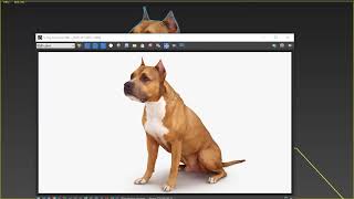Staffordshire Terrier Dog 3D Model
