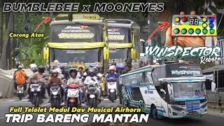 ARTIS TELOLET BASURI BUMBLEBEE MOONEYES WINSPECTOR DIKAWAL MANIA FULL TELOLET MODUL DAV TERBARU