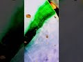 真好看！翡翠的魅力就在于它的色😍#翡翠手鐲 #珠宝玉石 #古玉收藏