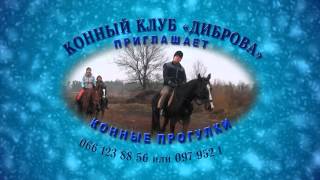 Конный Клуб Диброва - видео листовка(Конный Клуб #Диброва - #видео листовка Конный #клуб 