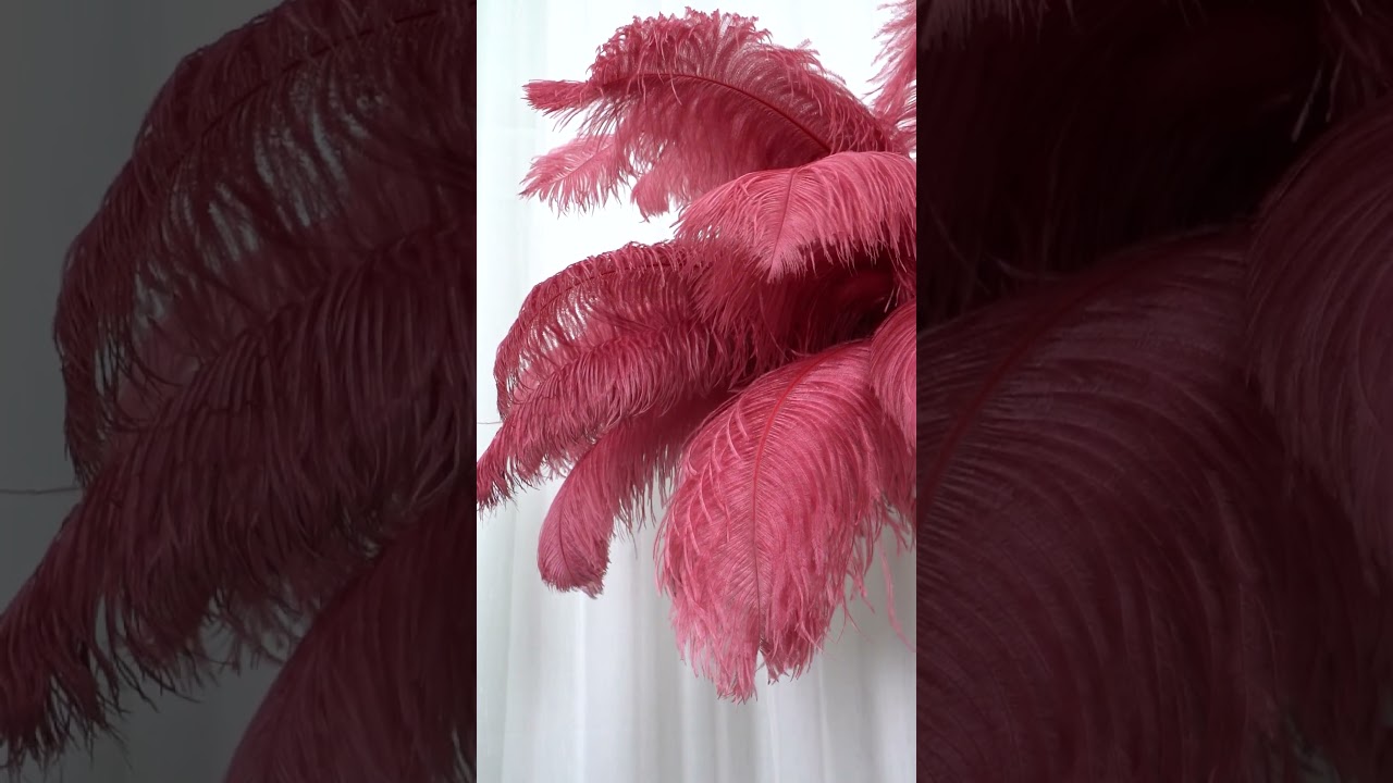 Ostrich Feather Brass Floor Lamp