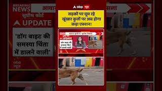 Supreme Court On Stray Dogs: सड़कों पर घूम रहे खूंखार कुत्तों पर अब होगा कड़ा एक्शन! | #shortvideo