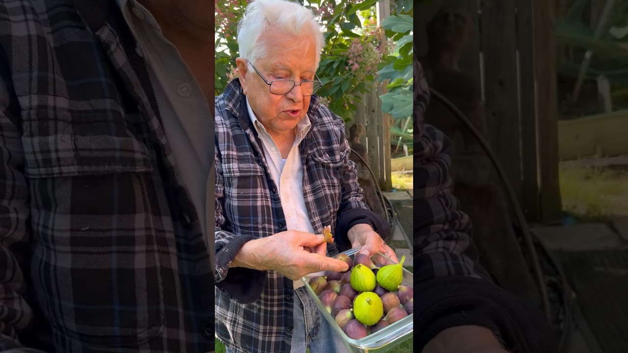Старик выращивает невозможные фрукты в Канаде!