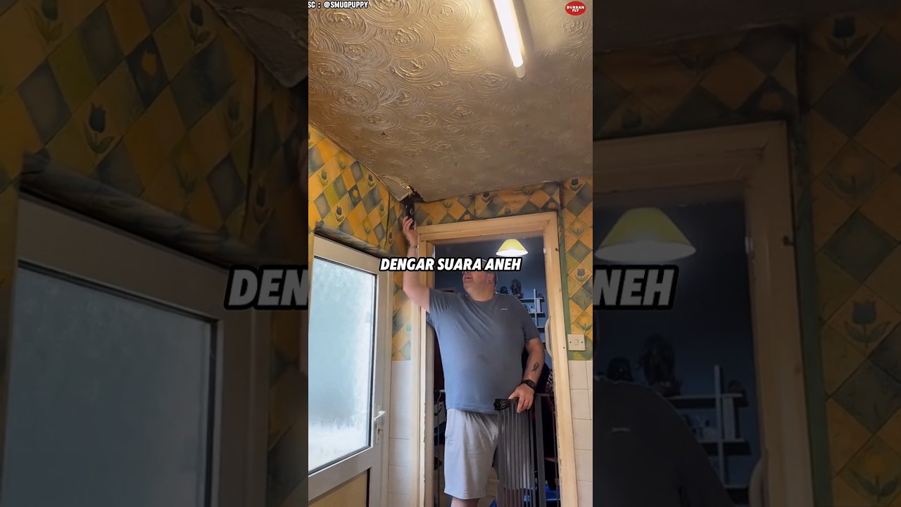 Mereka Mendengar Suara-Suara Menyeramkan yang Berujung Pada Penemuan Mengejutkan