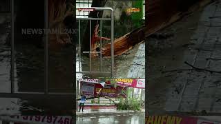 Today Rain News | பேருந்து நிலையத்தில் முறிந்து கிடக்கும் மரம்.. பயணிகள் அவதி | Nungambakkam Busstop