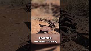 Kimba, South Australia: More Than Just a Stop, It's a Destination! #travel #camping